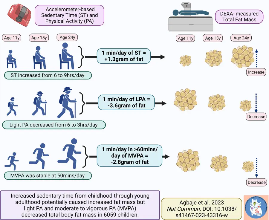 Light physical activity shows great promise in reversing childhood obesity caused by being sedentary